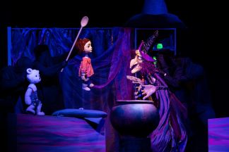 POVESTEA DEGEȚELULUI POZNAȘ, de Matei Vișniec